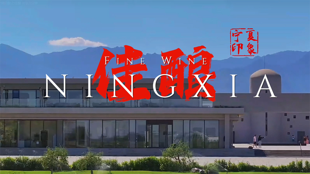 videobox