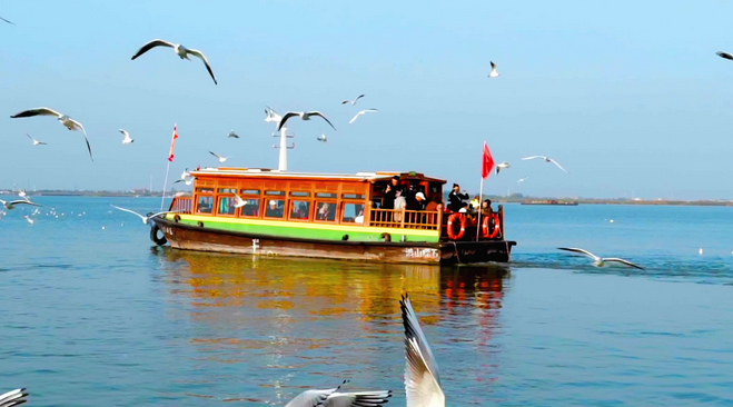 videobox